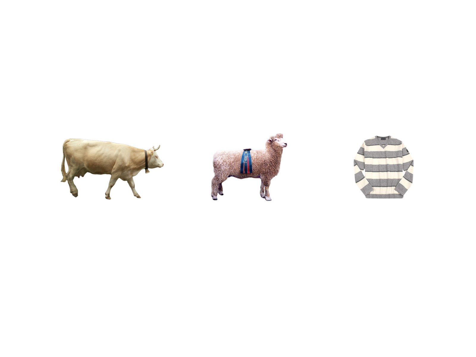 tausch·ware·handel — cow, sheep, striped orb