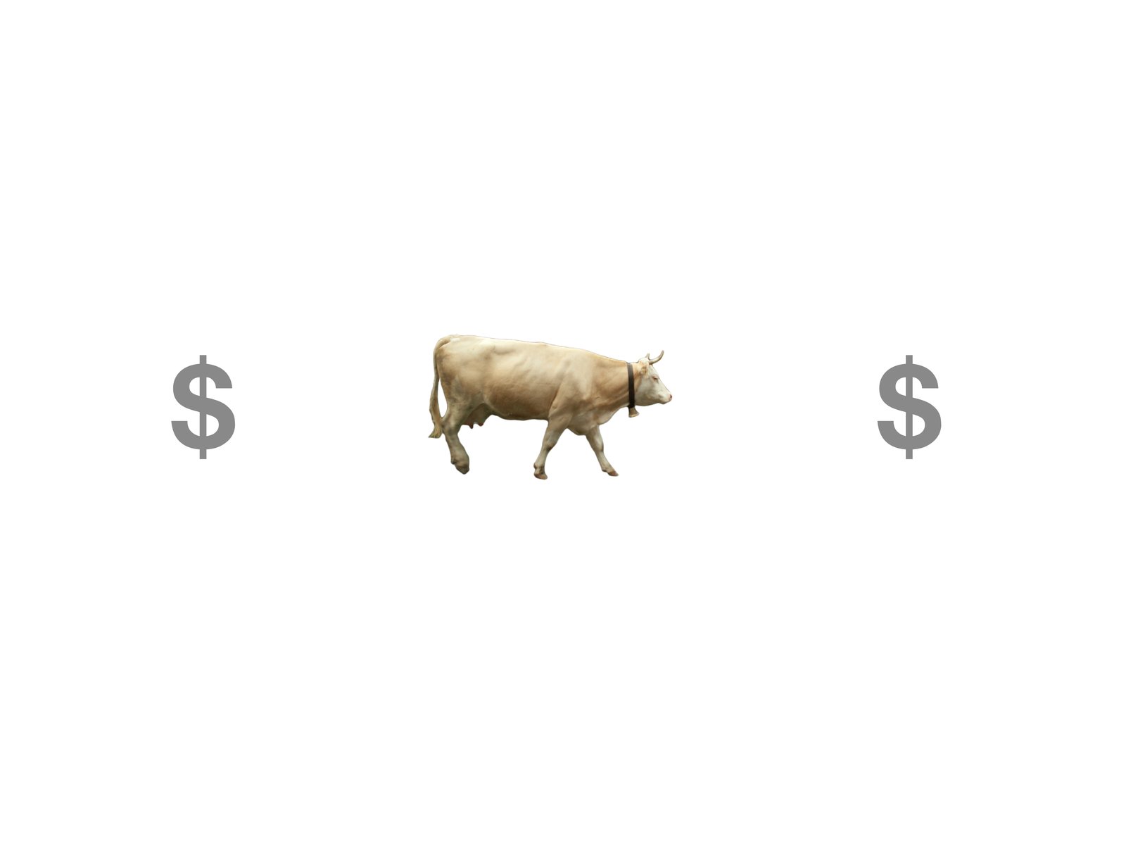 A pictogram equation on white: dollar sign, a cow, dollar sign