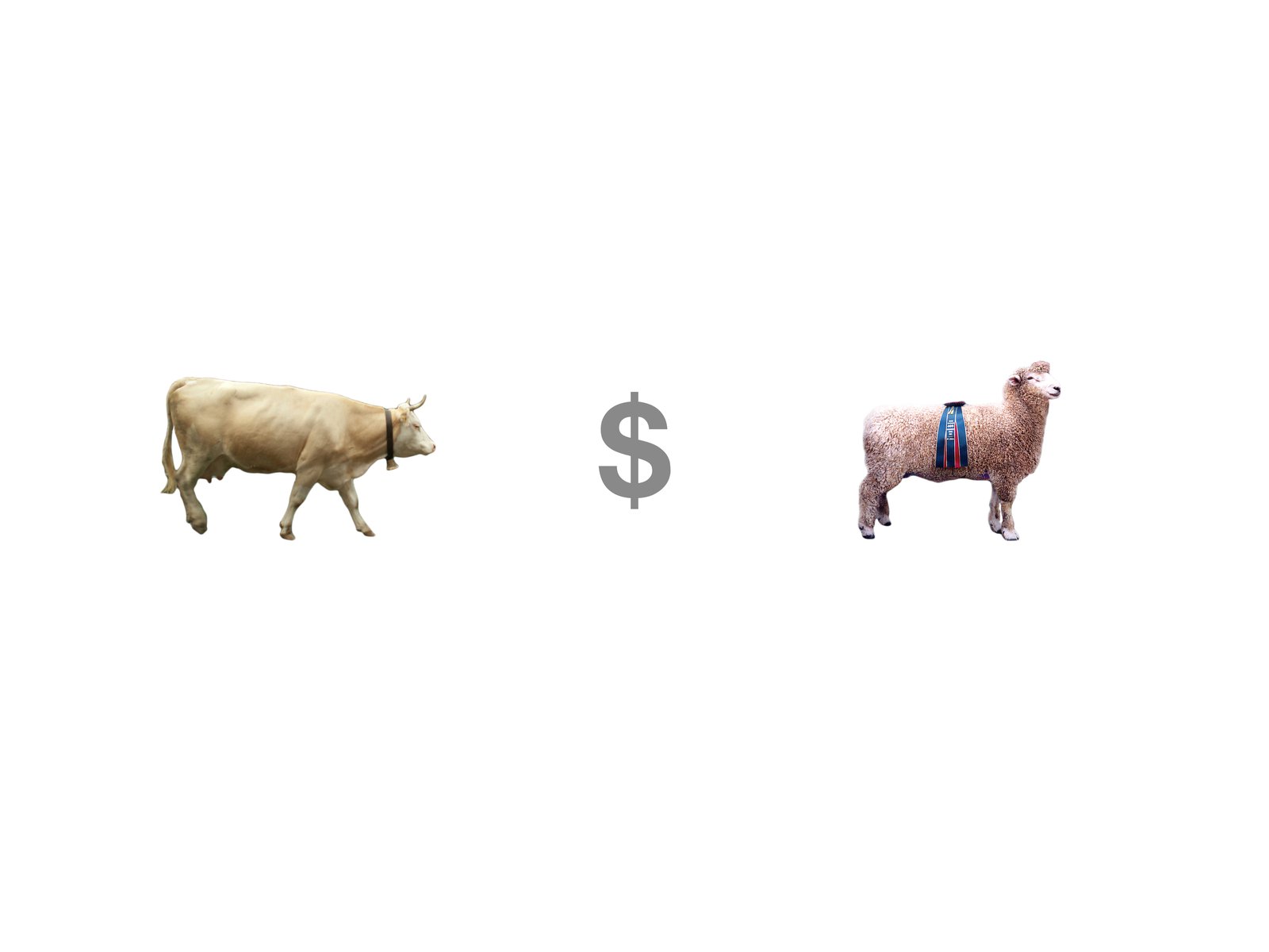 tausch·ware·handel — cow, dollar, sheep